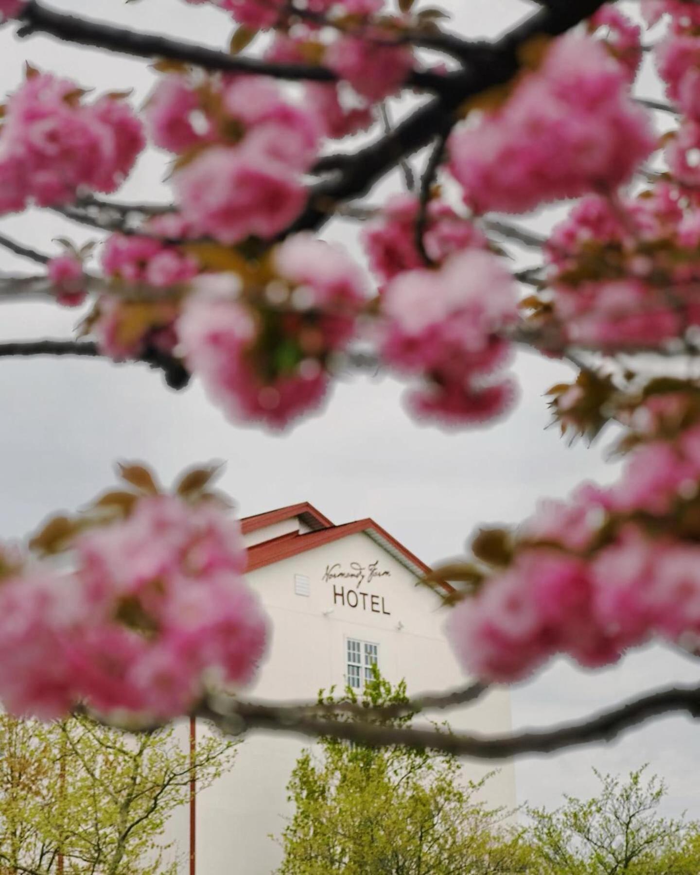 Normandy Farm Hotel & Conference Center Blue Bell Luaran gambar